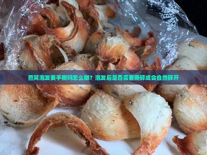燕窝泡发要手撕吗怎么做