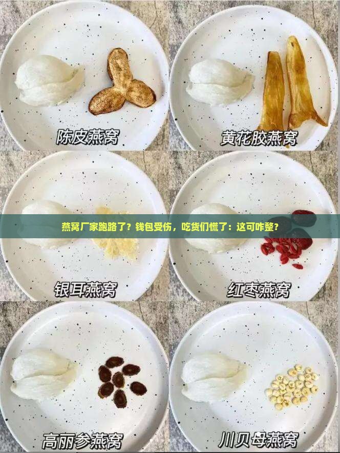 燕窝厂家跑路了怎么办啊