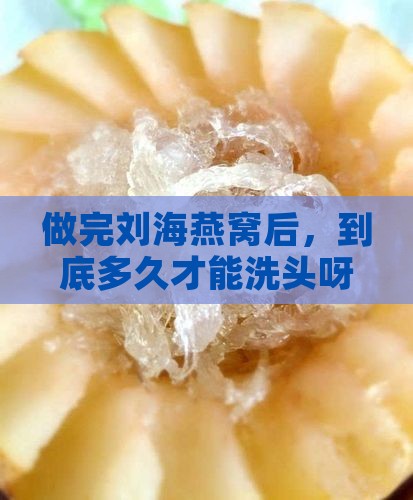 刘海燕窝多久可以洗头啊
