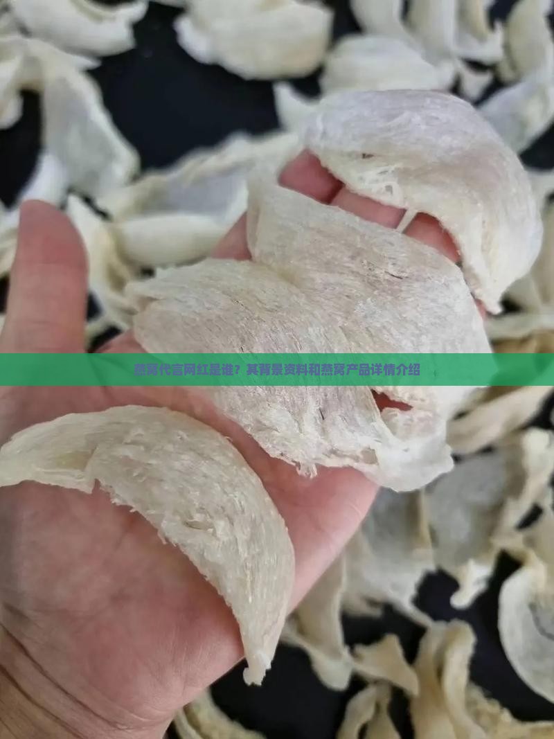 给燕窝代言的网红叫什么