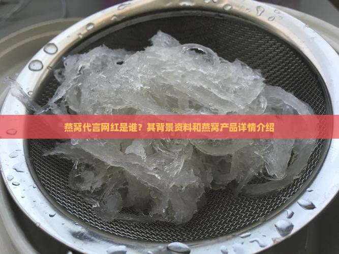 给燕窝代言的网红叫什么