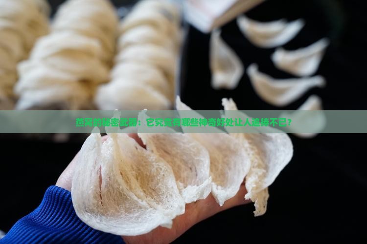 燕窝的功效特色有哪些呢