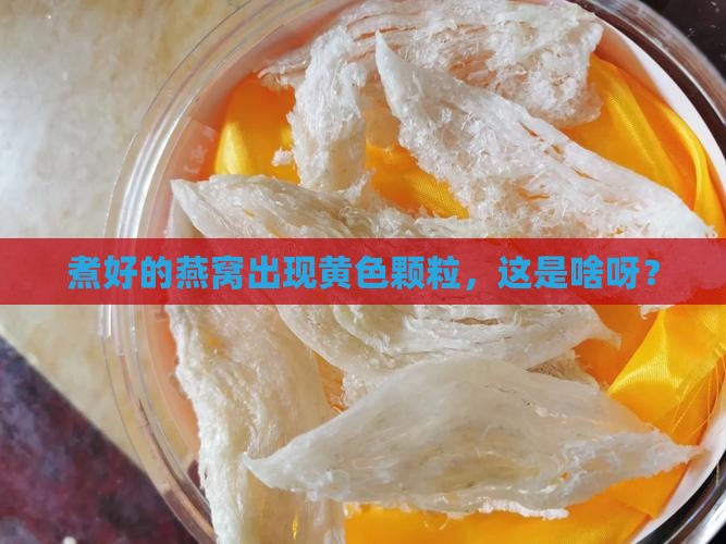 燕窝煮后黄色颗粒是什么