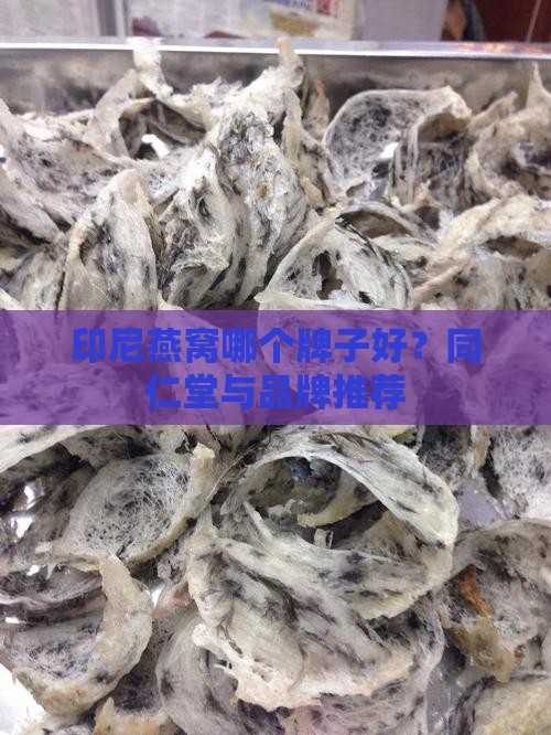 同仁堂和印尼燕窝哪个好