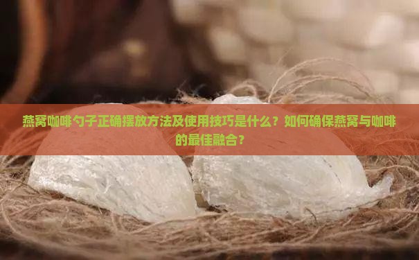 燕窝咖啡勺子怎么放好用