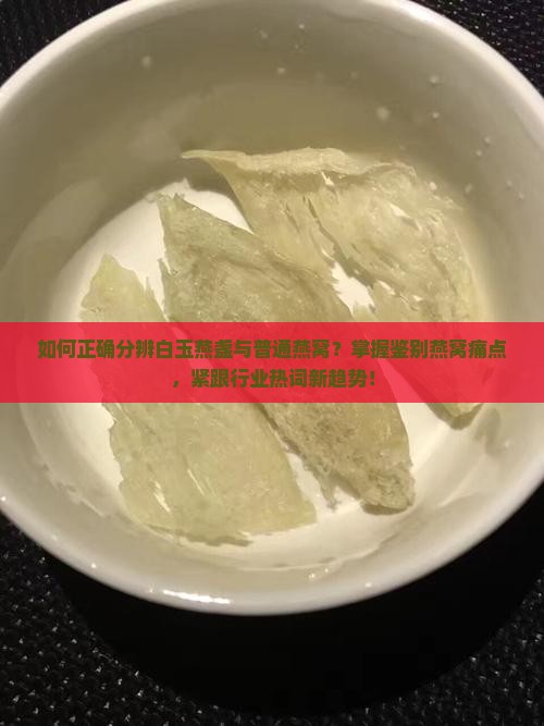 白玉燕盏怎么分辨燕窝