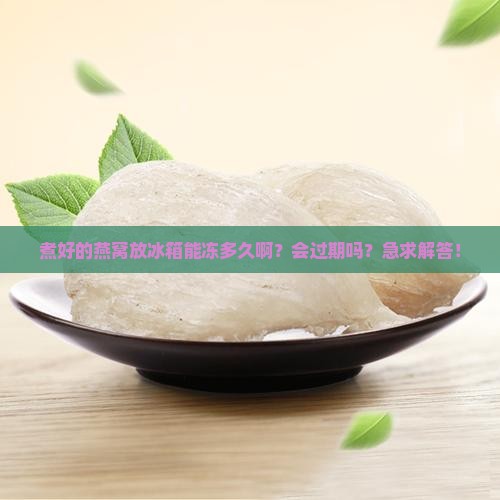 煮好的燕窝冰冻能放多久