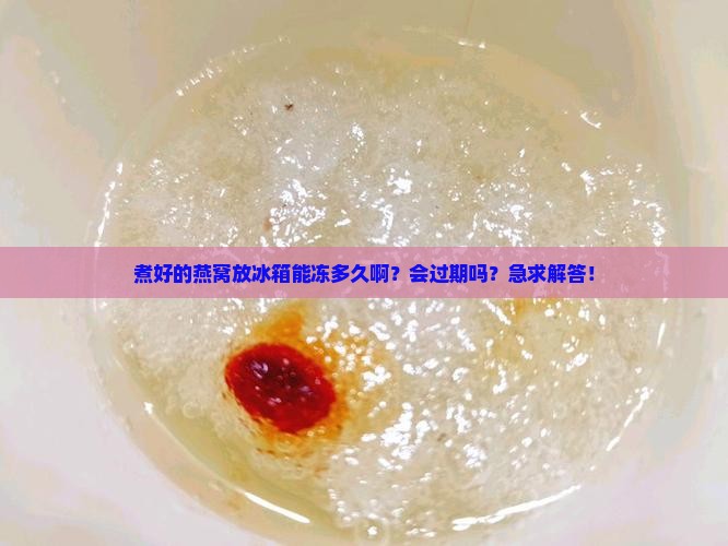 煮好的燕窝冰冻能放多久