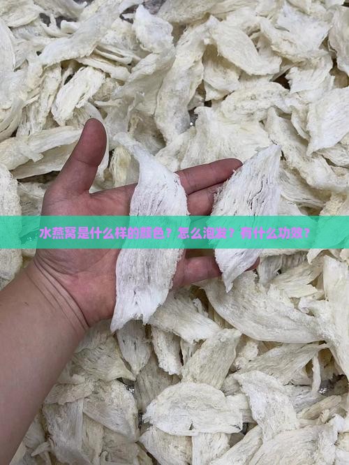 水燕窝是什么样的颜色啊