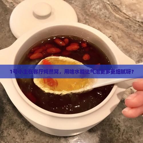 炖燕窝用什么水多气泡好