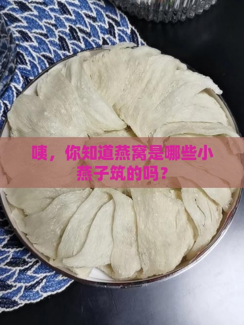 燕窝有哪些燕子品种的