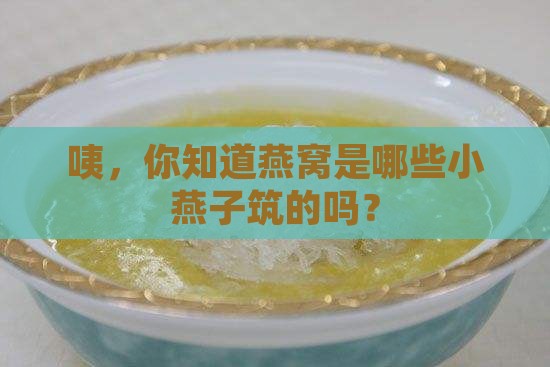 燕窝有哪些燕子品种的
