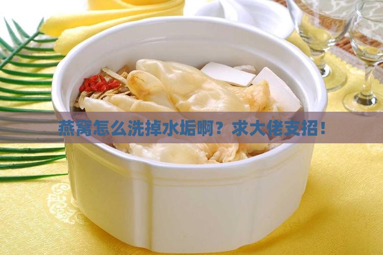 燕窝加什么能洗干净水垢