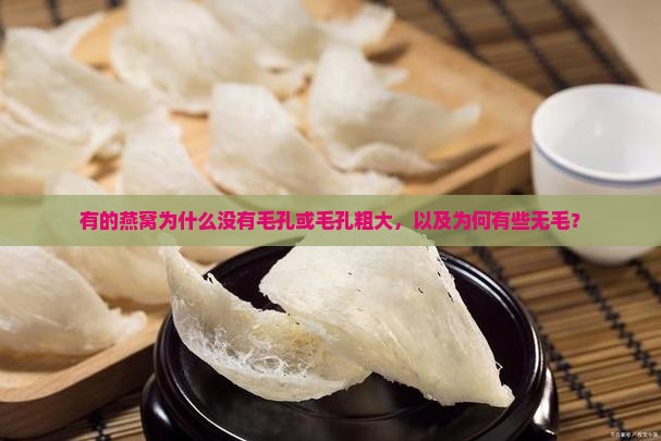 有的燕窝为什么没有毛孔