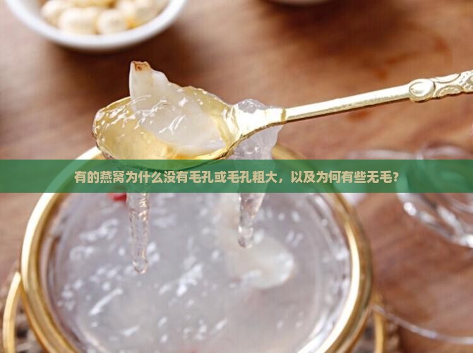 有的燕窝为什么没有毛孔