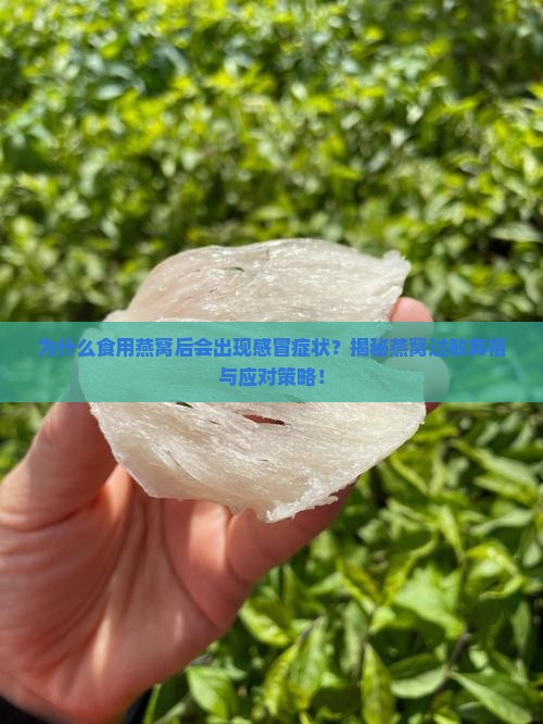为什么喝了燕窝会感冒呢 为什么喝了燕窝会感冒呢
