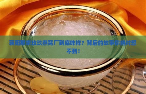 襄阳玫玖燕窝厂怎么样