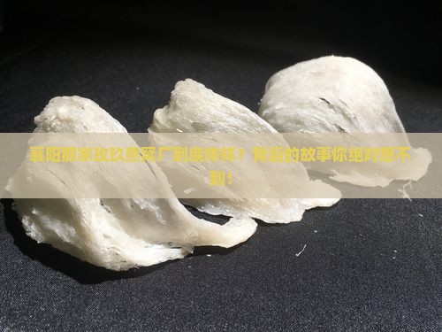 襄阳玫玖燕窝厂怎么样