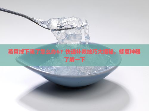 燕窝掉下来了怎么办6