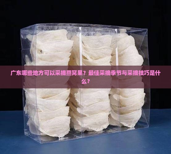燕窝果在广东哪里摘好呢