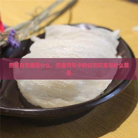 燕窝白盏燕是什么意思