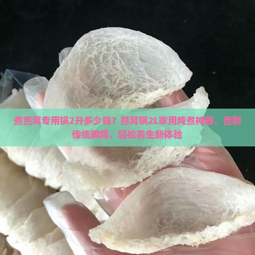 煮燕窝专用锅2升多少钱