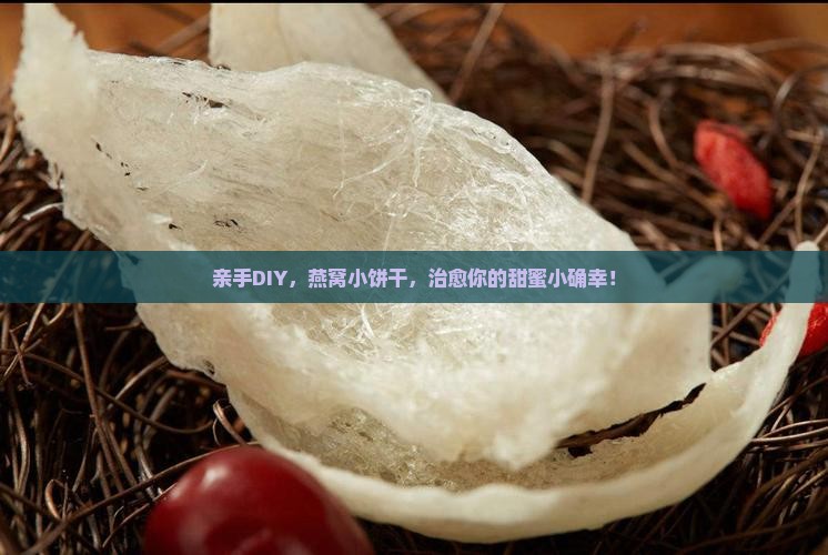 燕窝即食小饼干怎么做