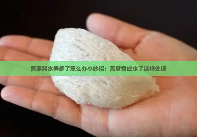煮燕窝水弄多了怎么办