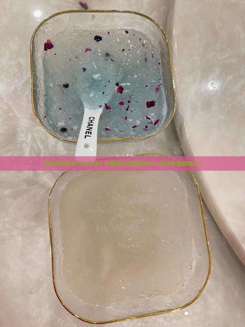 燕窝果的花长什么样子