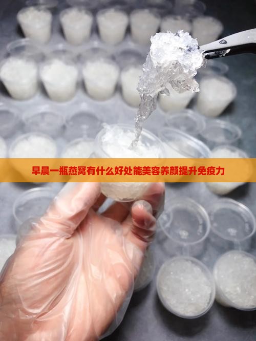 早晨一瓶燕窝有什么好处
