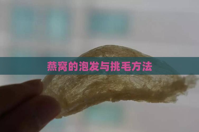 燕窝怎么泡发后怎么剃毛
