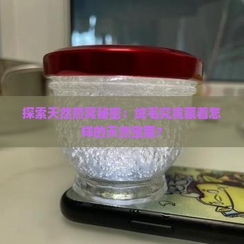 天然燕窝绒毛是什么材质