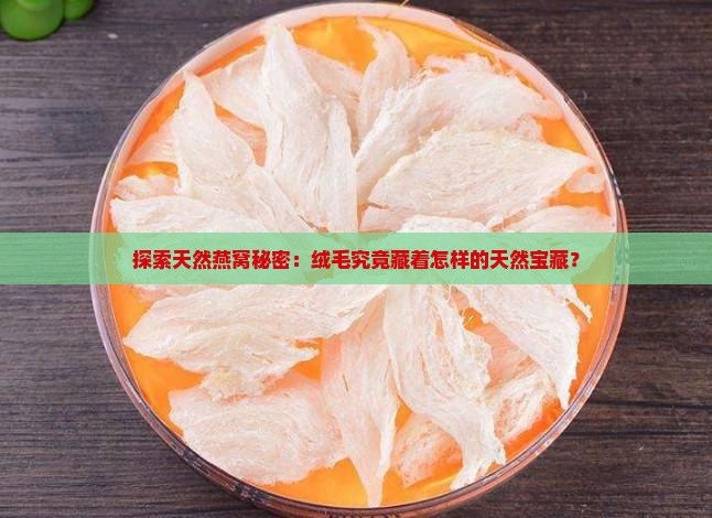 天然燕窝绒毛是什么材质