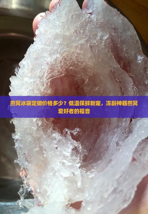 燕窝冰袋定做价格多少