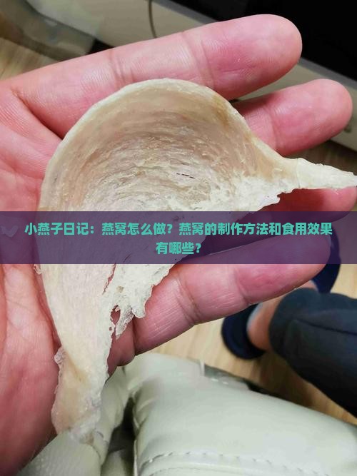 小燕子日记燕窝怎么做