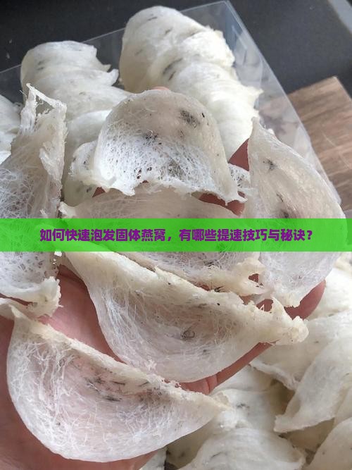 固体燕窝怎么泡发快一些