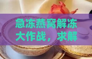 燕窝放急冻后需解冻吗多久