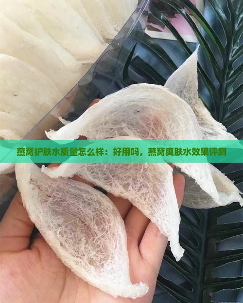 燕窝护肤水质量怎么样