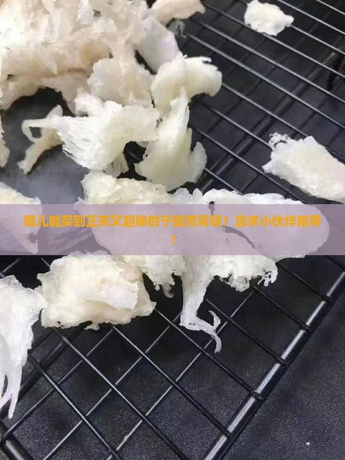 宁德燕窝哪里买正宗的好
