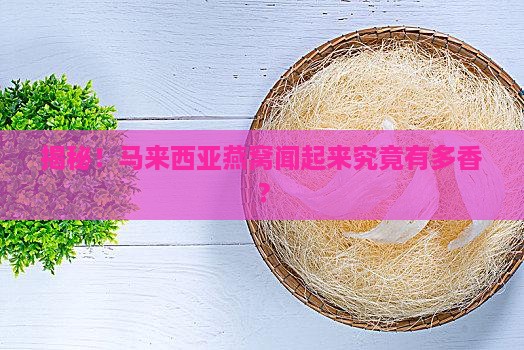 马来西亚燕窝是什么气味