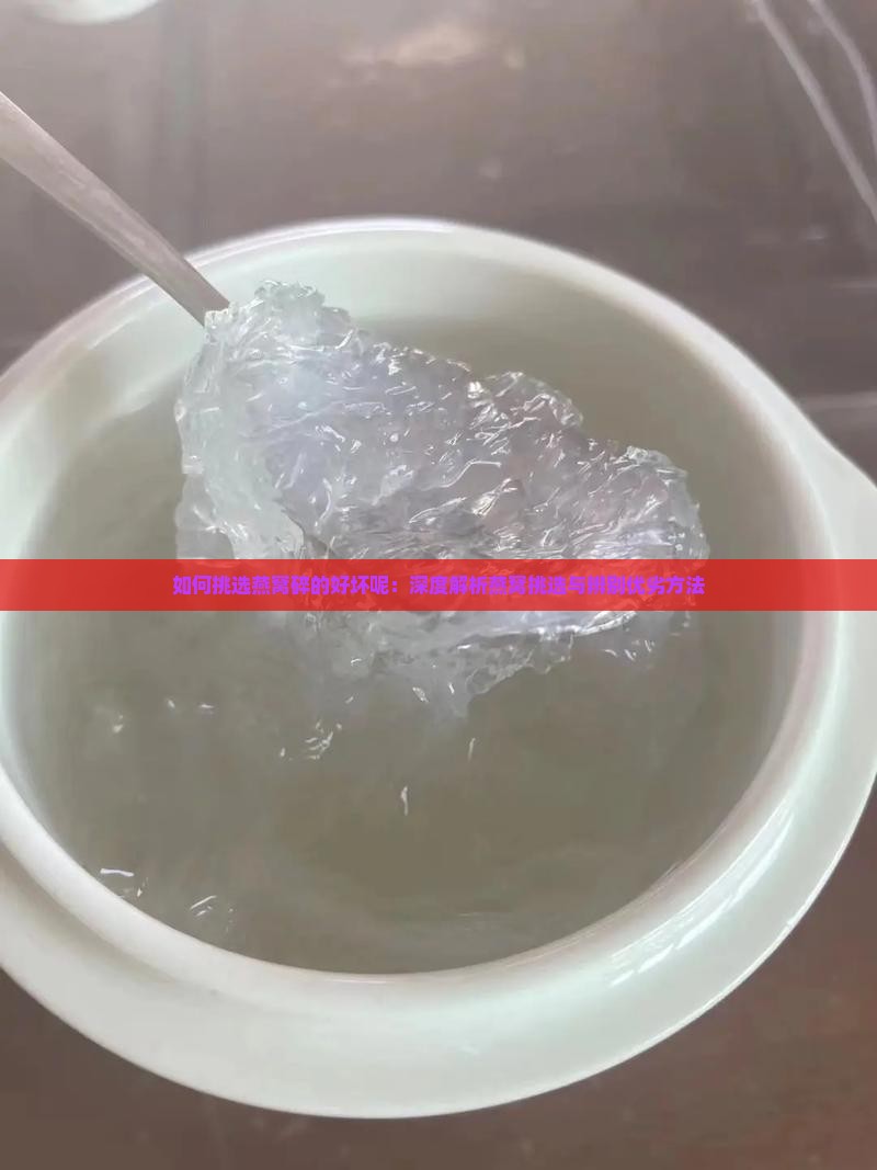 如何挑选燕窝碎的好坏呢