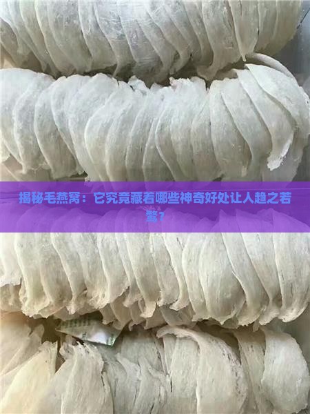 毛燕窝有什么功效和作用