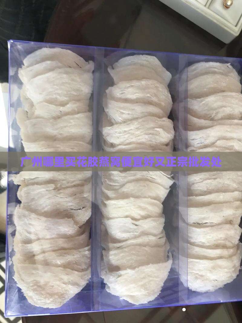 广州哪里买花胶燕窝便宜