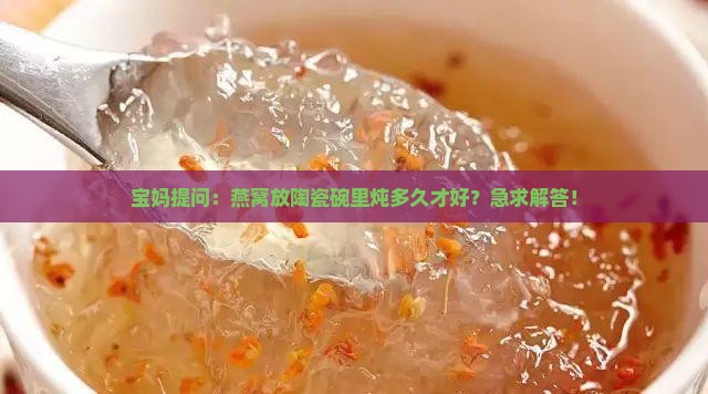 燕窝放陶瓷碗里炖多久