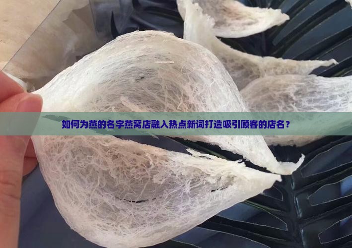 燕的名字燕窝店怎么取