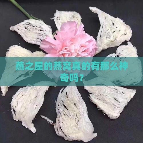 燕之屋的燕窝有什么用