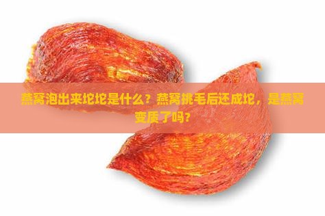 燕窝泡出来坨坨是什么