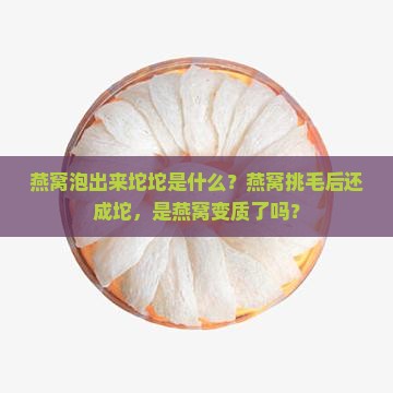 燕窝泡出来坨坨是什么