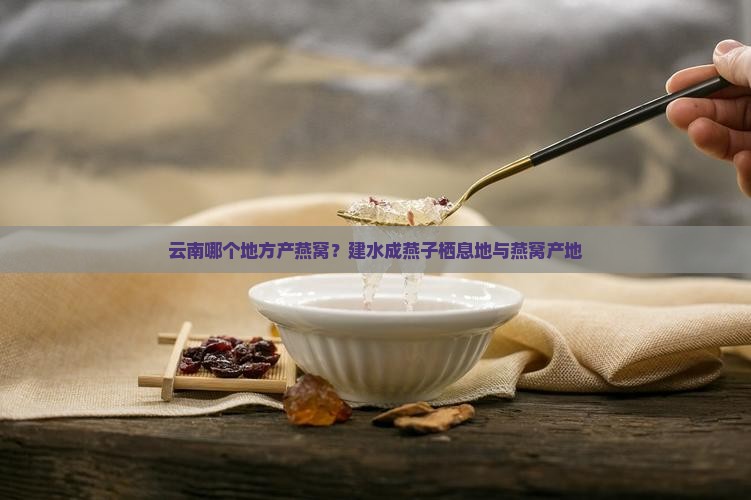 云南哪个地方产石燕窝
