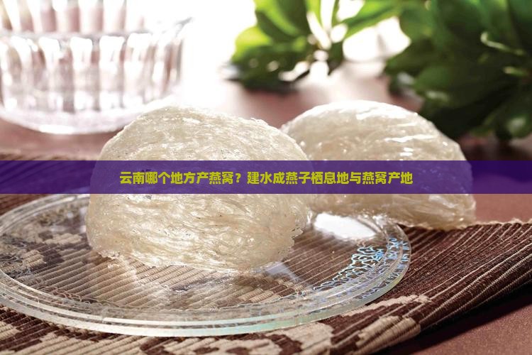 云南哪个地方产石燕窝